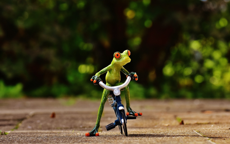 e-bike-deelfiets e-bike-deelfiets